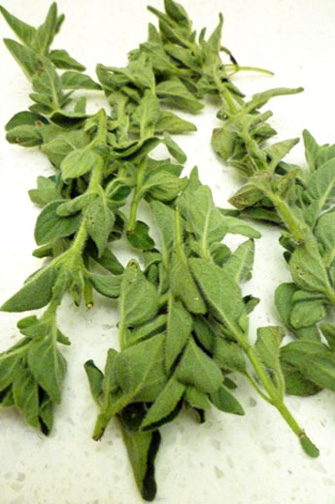 https://www.thecitycook.com/articles/2009-10-15-oregano-fresh-vs-dried/_res/id=Pictures/index=0